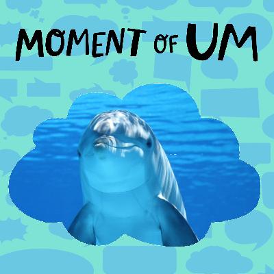 What makes dolphins so smart?