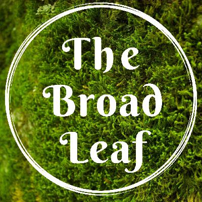 Broad Leaf Ep.7 Scots Pine & Genetic Provenance
