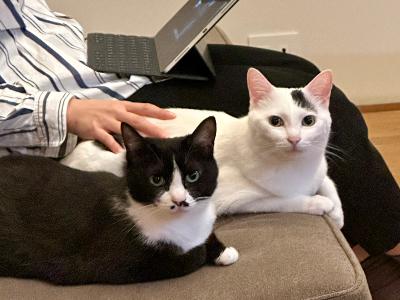 #1400 トムクルーズを語れない… from Radiotalk