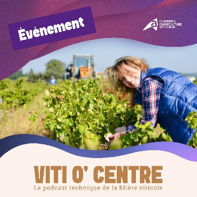 VITI O' CENTRE - Programme de la journée technique DEPHY viticulture : 30 octobre 2025