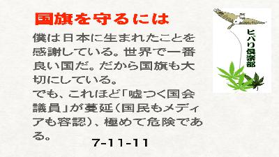「国旗を守るには」