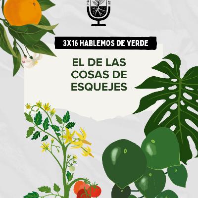 El de las cosas de esquejes | 3x16 | Hablemos de verde