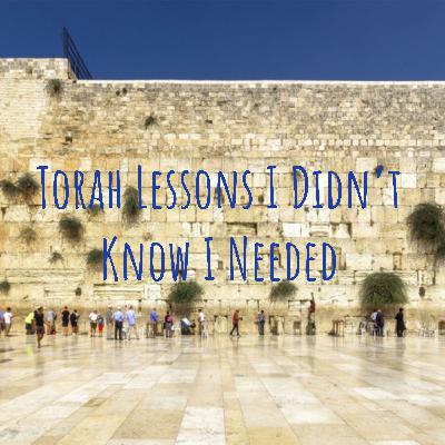 Matot Masei - Self Understood Responsibility