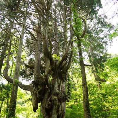 9,隠岐の『観光地』について 9,隠岐の『観光地』について