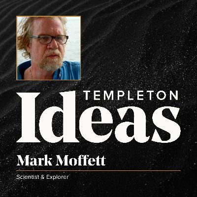 Mark Moffett (Insect Societies)