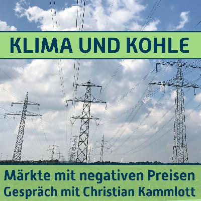 #163 Märkte mit negativen Preisen. Gespräch mit Christian Kammlott