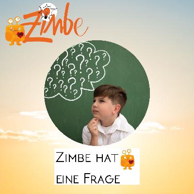 Zimbe fragt sich, was ist, wenn alle Chef sein wollen