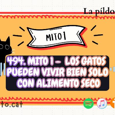 494. Mito 1 - Los gatos pueden vivir bien solo con alimento seco
