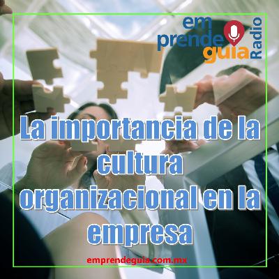 La importancia de la cultura organizacional en la empresa