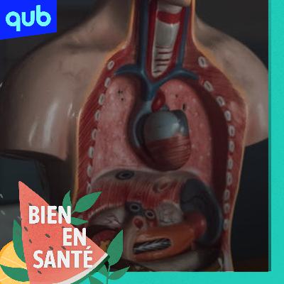«L’intestin, c’est le deuxième cerveau», explique un gastro-entérologue