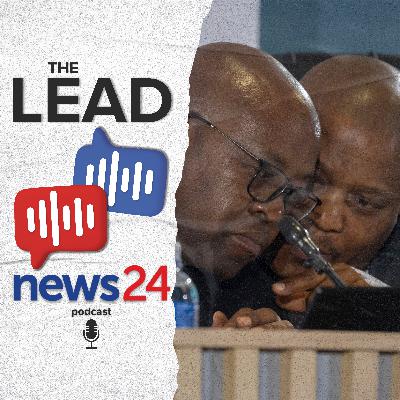 Woolies cash bags and info peddlers: Madlanga musings with Karyn Maughan