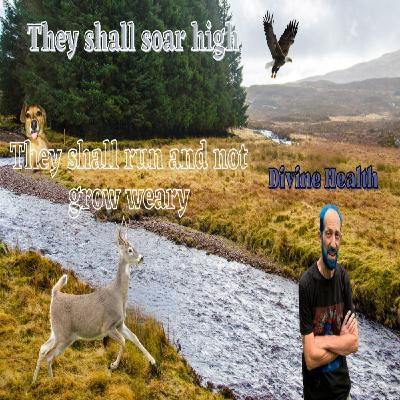 Run and Not Grow Weary: Divine Health Realized Run and Not Grow Weary: Divine Health Realized