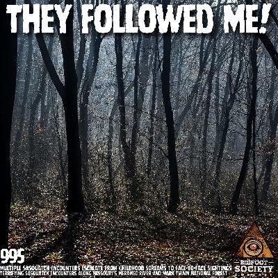 Missouri Woods Encounter Shattered Everything I Thought I Knew About Bigfoot | Archives Missouri Woods Encounter Shattered Everything I Thought I Knew About Bigfoot | Archives