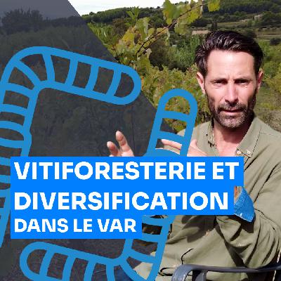 Un domaine viticole pas comme les autres : arbres, maraîchage et élevage dans le Var, Julien Castell