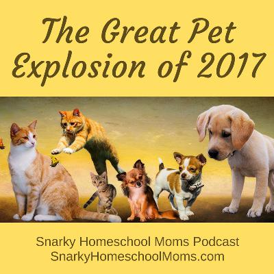 Episode 12 - The Great Pet Explosion of 2017