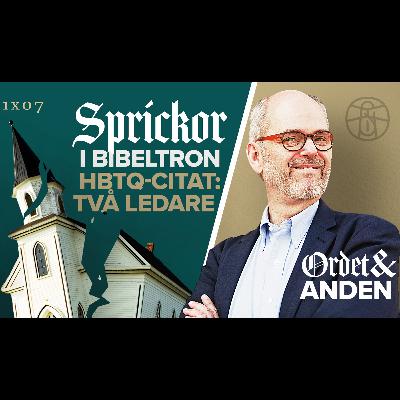07 Sprickor i bibeltron - HBTQ-citat: Två ledare