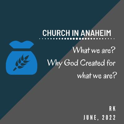 Special Fellowship - What we are? Why God Created for what we are?