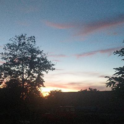 Observación de mi entorno