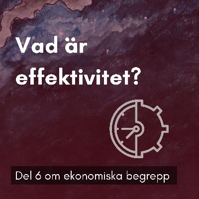 8. Vad är effektivitet? 8. Vad är effektivitet?