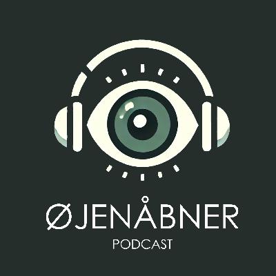 13. Nethindeløsning 13. Nethindeløsning