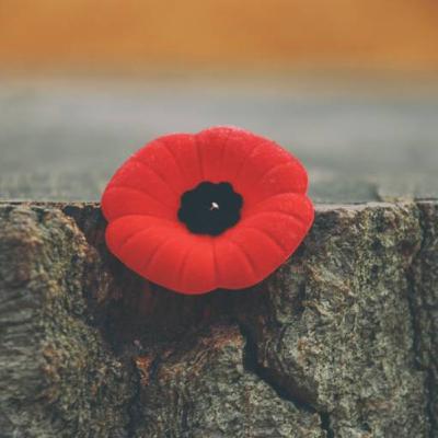November 10, 2019 - Leave No One Behind