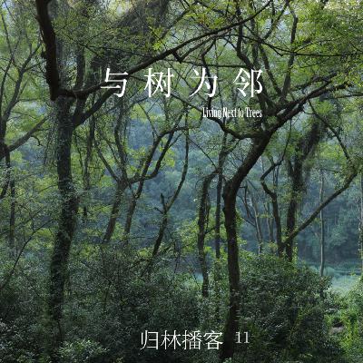 Vol.11｜在自然里，如何结交一位树朋友？