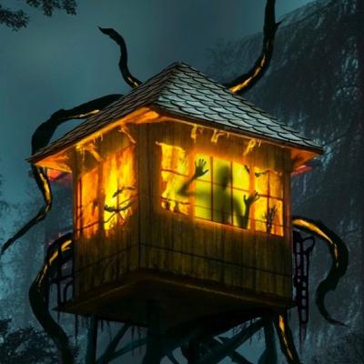 I Work in a Fire Lookout. There are 4 STRANGE Rules