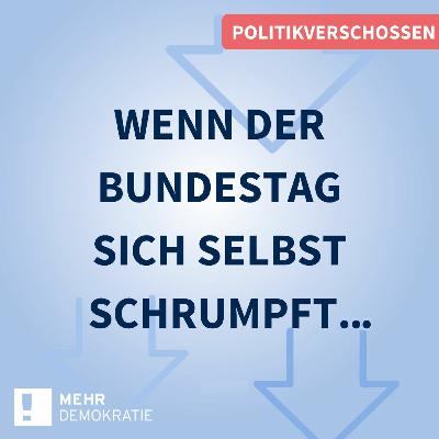#22 Wenn der Bundestag sich selbst schrumpft... #22 Wenn der Bundestag sich selbst schrumpft...