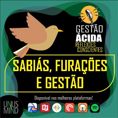 Sabiás, furacões e gestão