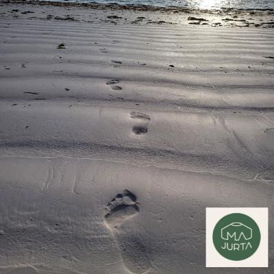 Medytacja potencjału / talentów Medytacja potencjału / talentów