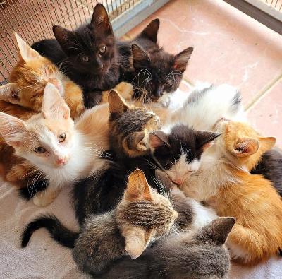 Cyprus News Digest 5th December 2025