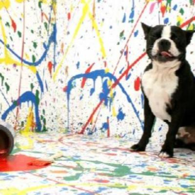 Episódio 9 - As crianças e os Pets