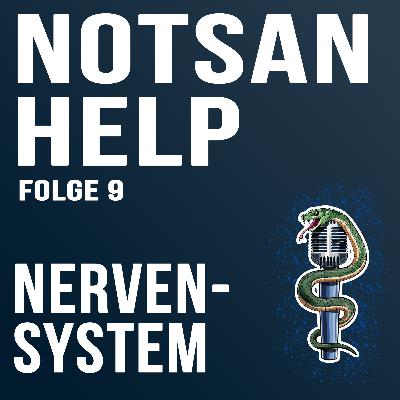 Nervensystem | NOTSAN-HELP - 09