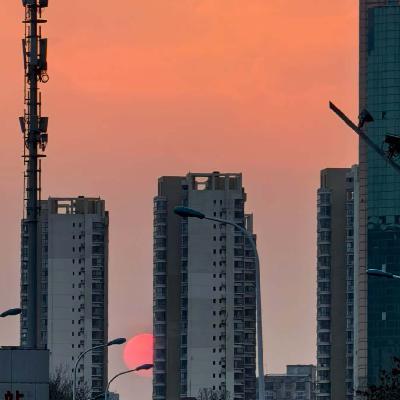 Vol.101 全网最全回避型自救指南（下篇）：停止“情感隔离”，重建爱的能力