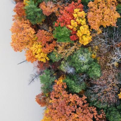 隗炤藏金：在那时想好好活着，只能靠预测未来了