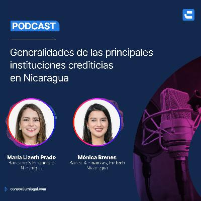 Generalidades de las principales instituciones crediticias en Nicaragua