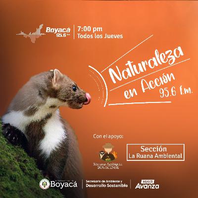 T2-Ep 3 - Hablemos de la Política Pública de  Protección y Bienestar Animal del departamento de Boyacá