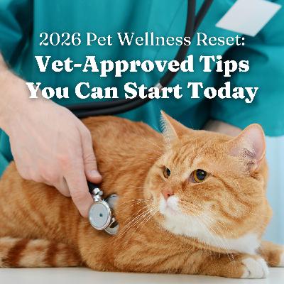 2026 Pet Wellness Reset: Vet-Approved Tips You Can Start Today for Dogs and Cats that Pet Parents Should Save or Follow 2026 Pet Wellness Reset: Vet-Approved Tips You Can Start Today for Dogs and Cats that Pet Parents Should Save or Follow