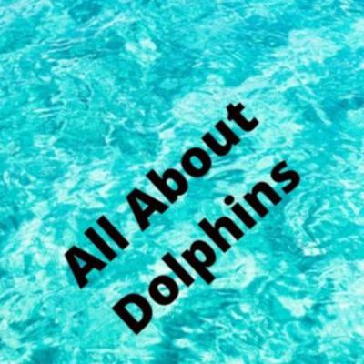 All About Dolphins