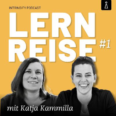 „Willst Du ein Haus bauen, beschäftige Dich mit Statik“ [Lernreise #1]