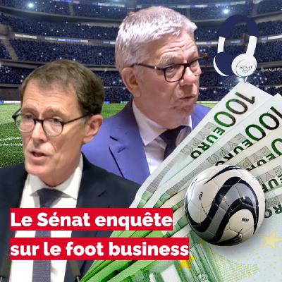 Le Sénat enquête sur le foot business