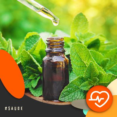Com a Saúde em Dia - SUS passa a fortalecer uso de plantas medicinais para fins terapêuticos Com a Saúde em Dia - SUS passa a fortalecer uso de plantas medicinais para fins terapêuticos