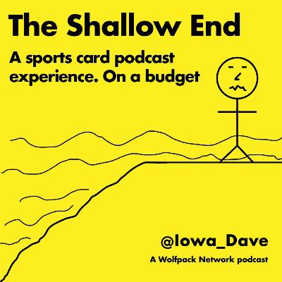The Shallow End - The Megabid at One Year - Episode 11
