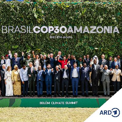 COP30 in Belém: Worum es beim Klimagipfel in Brasilien geht