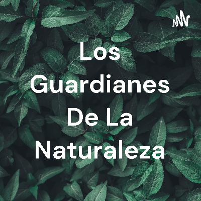 La contaminación de el aire