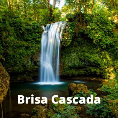 Brisa Cascada (8 horas) - Sonidos de la naturaleza para relajarse y dormir