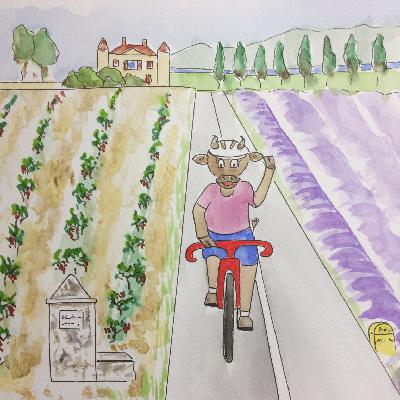 the Tour of France the Tour of France