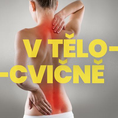 02 – Záda – Má cenu se pokřupávat? „Zapomeňte na speciální židle nebo míče. Nesnažte se kombinovat práci a posilování zad. Žíněnka je nejlepší investicí vašeho šéfa“