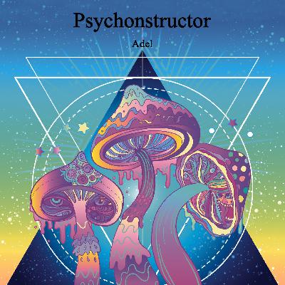Psychonstructor- Part 3