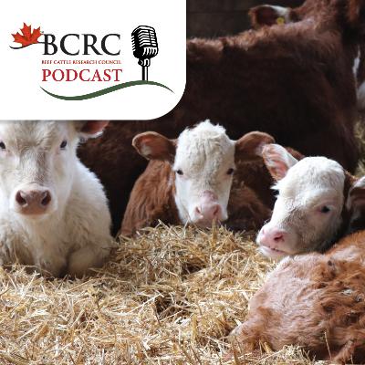 Episode 110: Solving Problems Starts with Asking the Right Questions